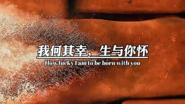 探索知识星球平台,解锁做生意真的比上班打工强吗?的奥秘