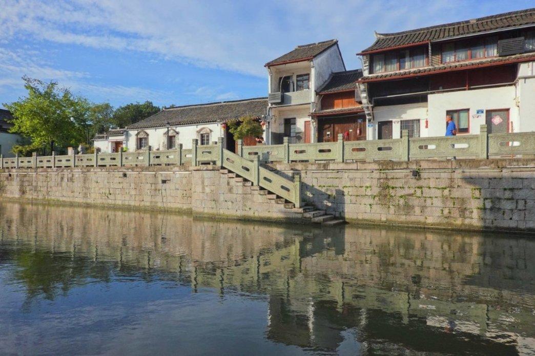五彩鹦鹉救援